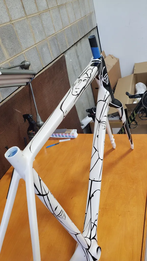 One of One Paint Jobs - Salsa Picasso