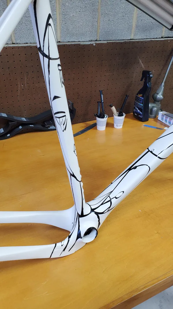 One of One Paint Jobs - Salsa Picasso