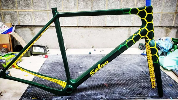 One of One Paint Jobs - Salsa Honey Comb