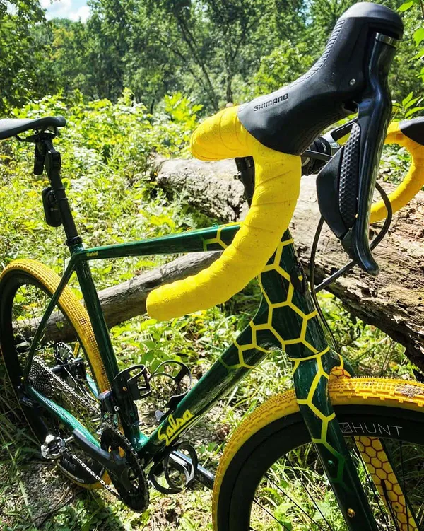 One of One Paint Jobs - Salsa Honey Comb