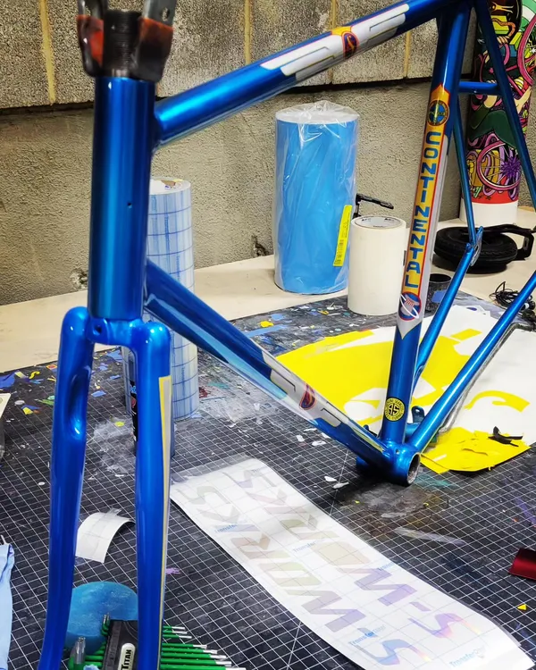 Metal Frames - Schwinn