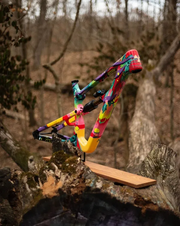 One of One Paint Jobs - Nukeproof Forbes Job