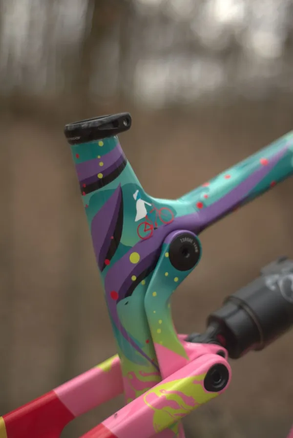 One of One Paint Jobs - Nukeproof Forbes Job