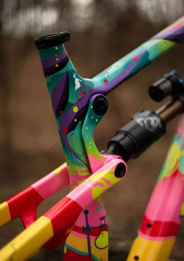 One of One Paint Jobs - Nukeproof Forbes Job