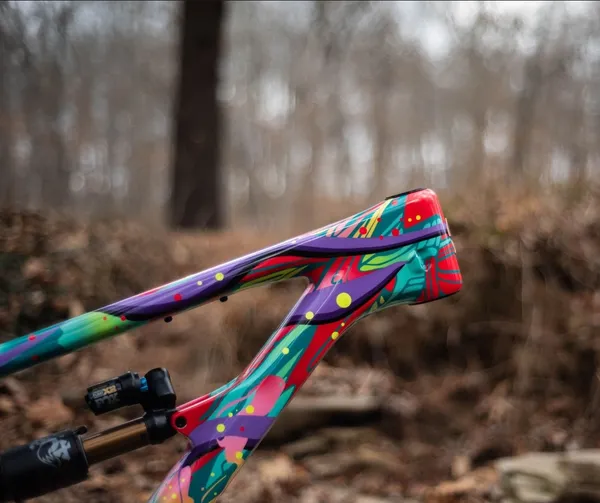 One of One Paint Jobs - Nukeproof Forbes Job