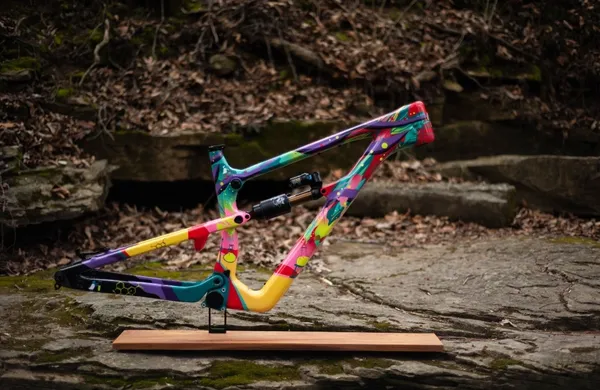 One of One Paint Jobs - Nukeproof Forbes Job
