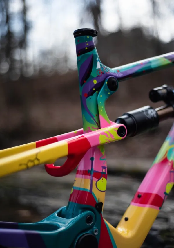 One of One Paint Jobs - Nukeproof Forbes Job