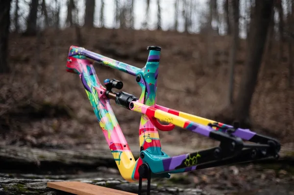 One of One Paint Jobs - Nukeproof Forbes Job