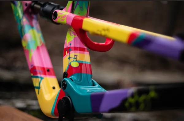 One of One Paint Jobs - Nukeproof Forbes Job