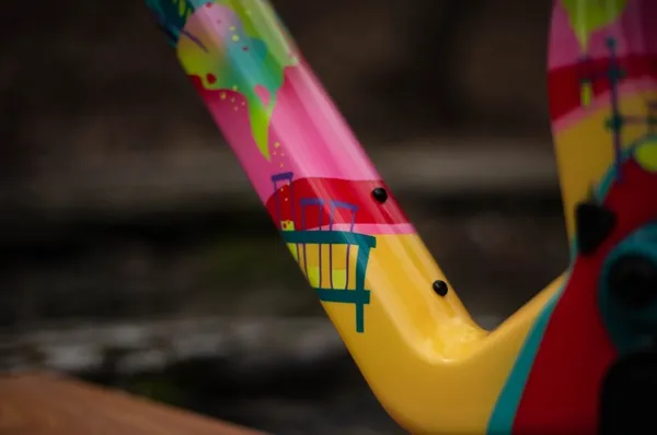 One of One Paint Jobs - Nukeproof Forbes Job