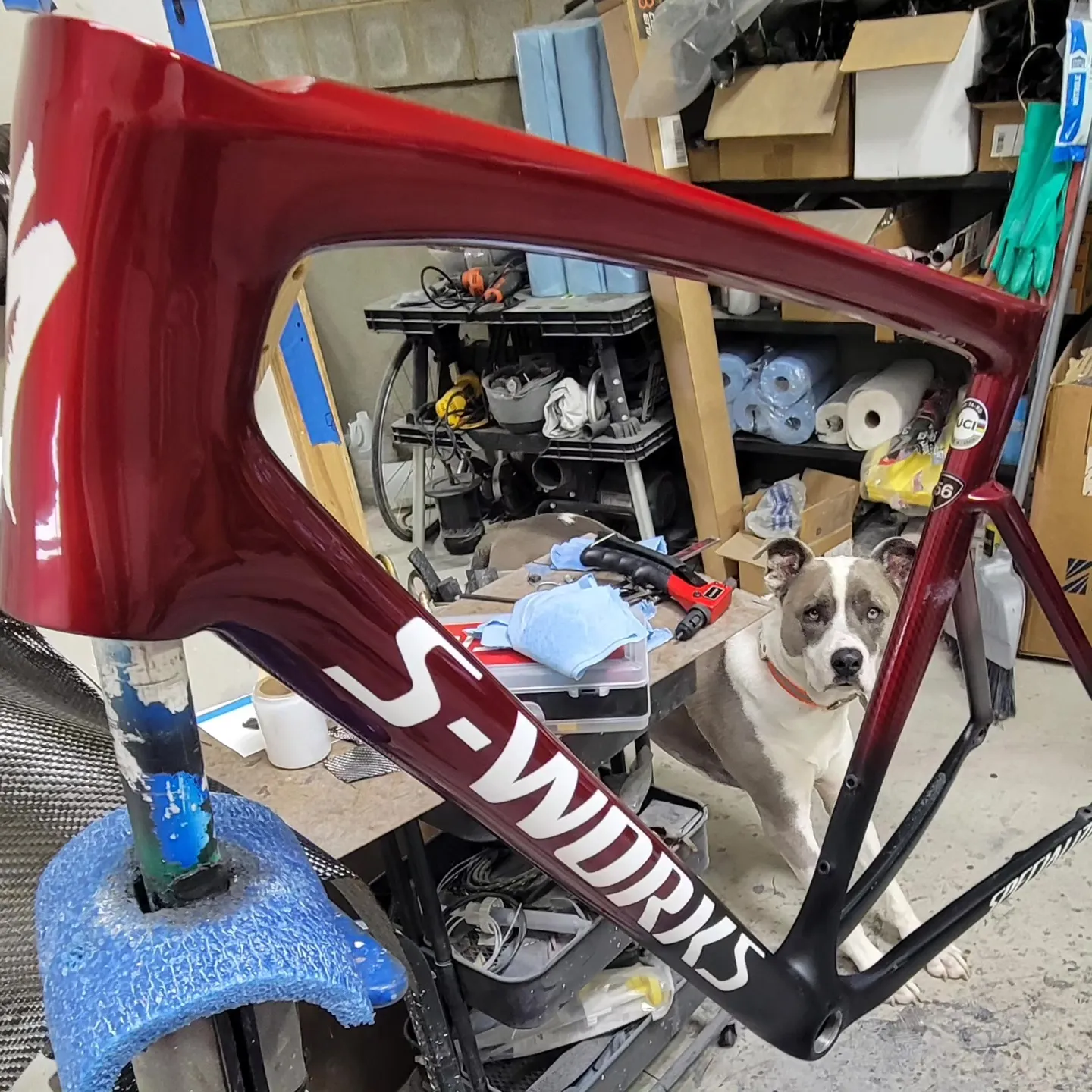 Painted and finished frame